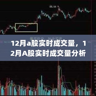 12月A股实时成交量分析与展望，深度解析市场走势