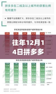 往年12月14日拼多多数据实时查询，深度洞察电商行业的增长奇迹