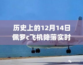 2024年12月20日 第11页