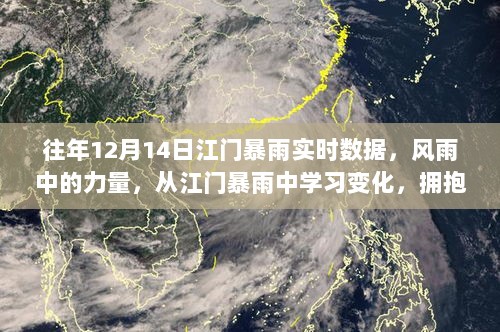 江门暴雨中的力量，风雨中的变化与自信成就纪实