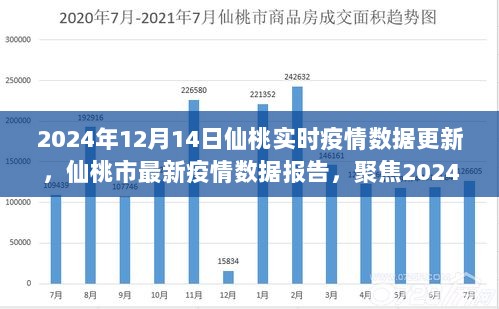 仙桃市最新疫情数据报告（截至2024年12月14日实时更新）