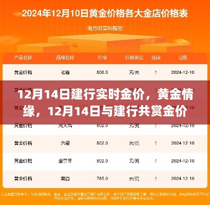 建行黄金情缘，共赏金价风采，12月14日实时金价解析