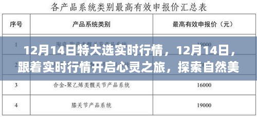 12月14日实时行情下的心灵探索与自然美景之旅