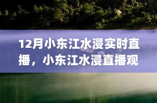 12月小东江水浸实时直播观赏指南，初学者也能轻松掌握观看步骤