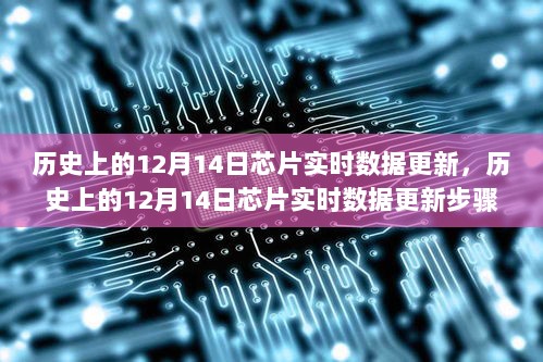 历史上的12月14日芯片实时数据更新步骤详解及指南