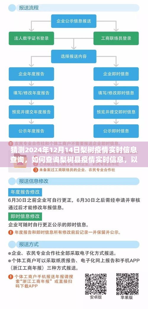 梨树县疫情实时信息查询指南，预测未来趋势的初学者与进阶用户指南（2024年预测）