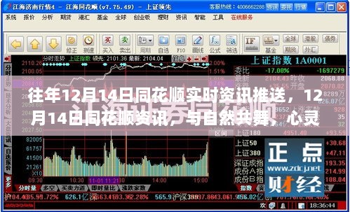 2024年12月21日 第11页