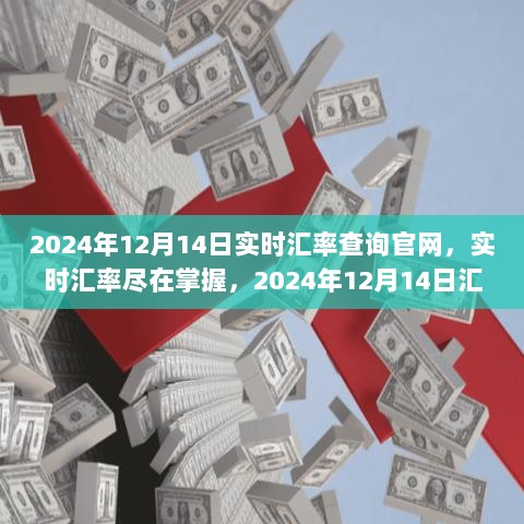 2024年12月21日 第9页