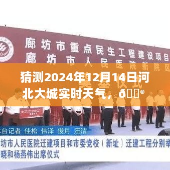 揭秘未来天气，河北大城智能预报科技新品预测2024年12月14日实时天气状况