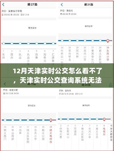 天津实时公交查询系统问题解析，12月无法正常使用原因探究