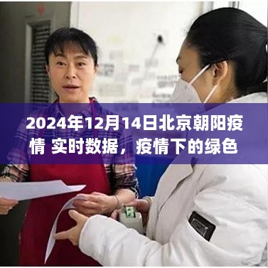 北京朝阳疫情实时数据与绿色避风港的自然探索之旅（2024年12月14日）