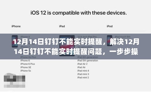 解决12月14日钉钉实时提醒故障，操作指南与解决方案