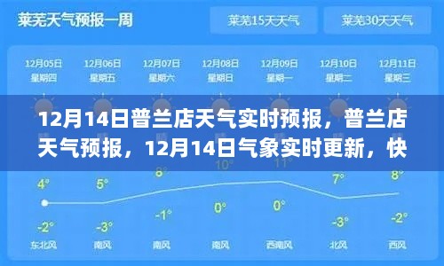 普兰店天气预报实时更新，12月14日天气状况详解