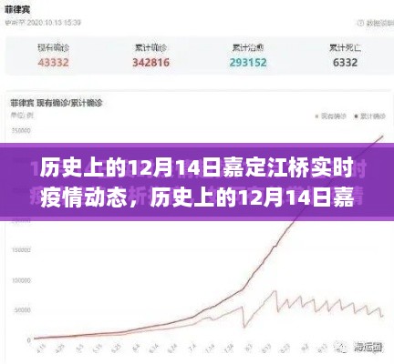 历史上的12月14日嘉定江桥疫情实时动态，全面指南与最新动态