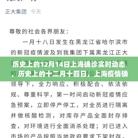 历史上的十二月十四日上海疫情确诊实时动态回顾与深度解析