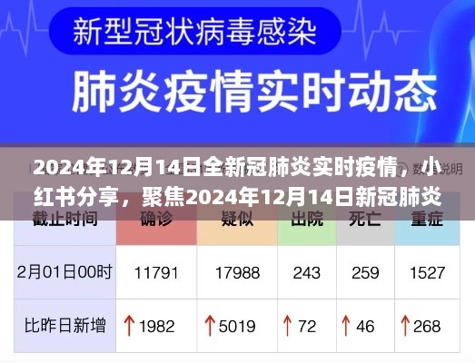 聚焦2024年12月14日新冠肺炎实时疫情，小红书上的疫情分享