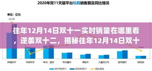 2024年12月21日 第2页