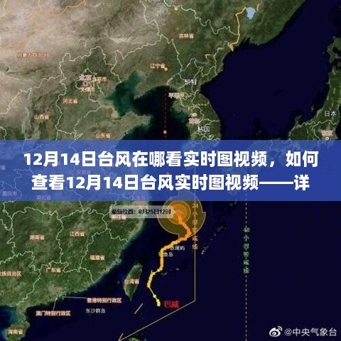 12月14日台风实时图视频查看指南，详细步骤带你了解