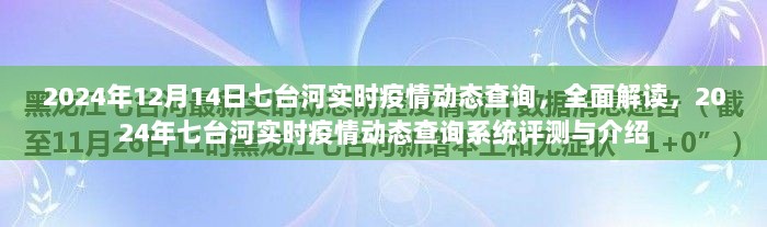 2024年七台河实时疫情动态查询系统全面解读与评测介绍