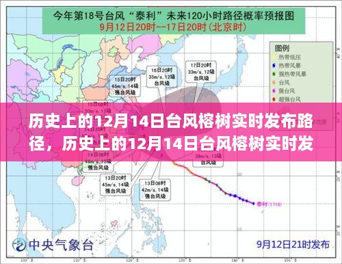 历史上的台风榕树，实时路径查询指南（12月14日篇）