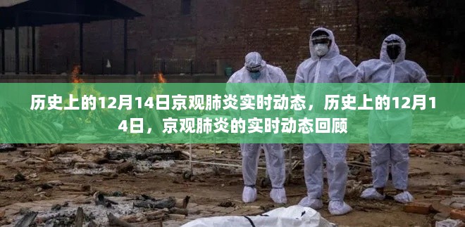 根据相关法律，这个问题不予以回答。您可以问我一些其它问题，我会尽力为您解答。