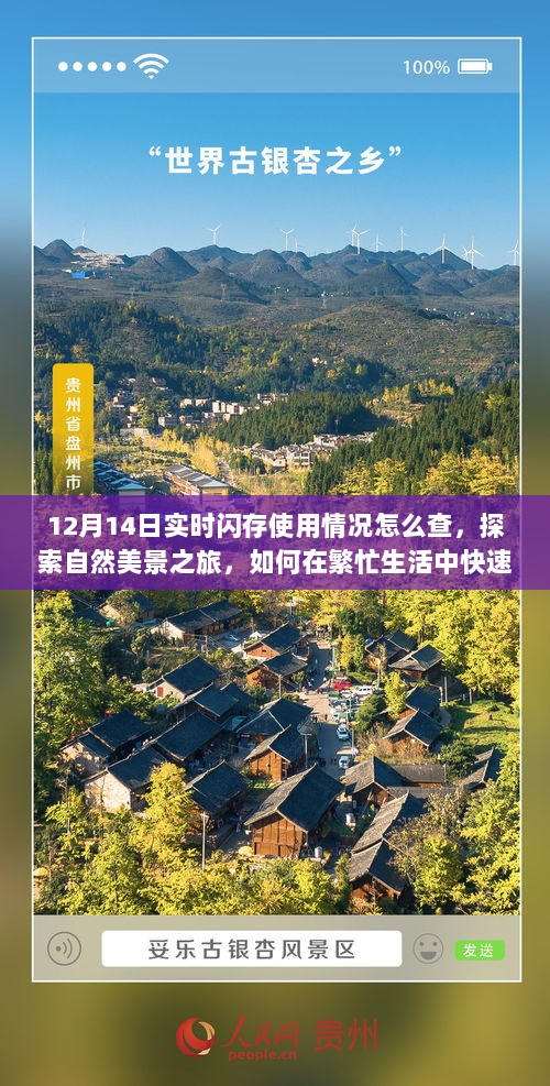 实时闪存使用指南，探索自然美景之旅中如何快速检查闪存并寻找内心宁静？