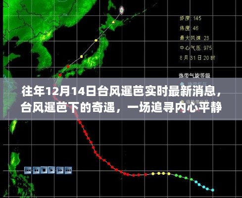 追寻内心平静的奇遇，台风暹芭下的旅行最新消息（往年12月14日）