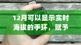 实时海拔手环，攀登人生巅峰的必备之选