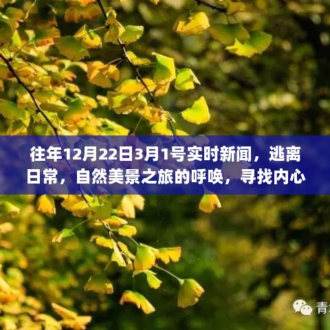 逃离日常，自然美景之旅的呼唤，追寻内心宁静与乐趣——最新实时新闻报道汇总