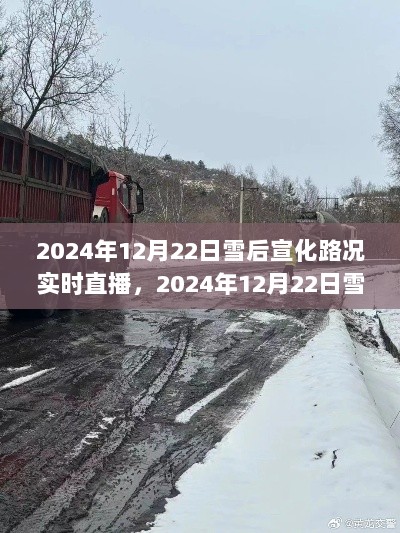 2024年12月22日雪后宣化路况实时直播，掌握路况信息，出行无忧