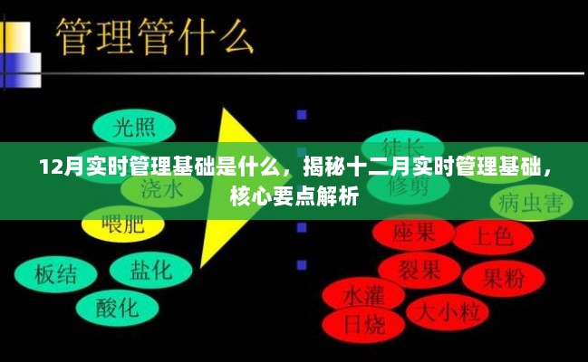 揭秘十二月实时管理基础，核心要点解析与实战应用