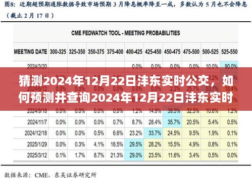 初学者指南，预测并查询2024年12月22日沣东实时公交的步骤和技巧