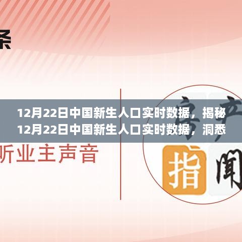 揭秘中国新生人口实时数据，洞悉未来趋势与发展动力（12月22日报道）