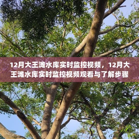 12月大王滩水库实时监控视频及观看与了解步骤指南（全用户适用）