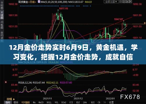 把握黄金机遇，揭秘12月金价走势，成就自信人生之路