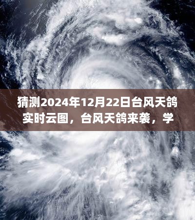 台风天鸽来袭，预测云图背后的力量与智慧，学习变化迎接未来