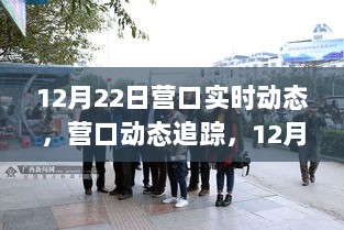 12月22日营口动态追踪，任务操作指南（初学者与进阶用户适用）