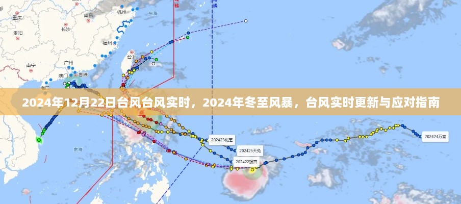 2024年冬至风暴与台风实时更新，应对指南及最新动态