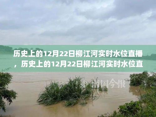 探寻柳江河水位变迁背后的故事，历史上的12月22日实时水位直播回顾