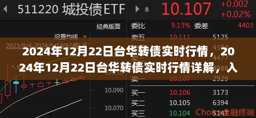 2024年12月22日台华转债实时行情详解与投资策略指南