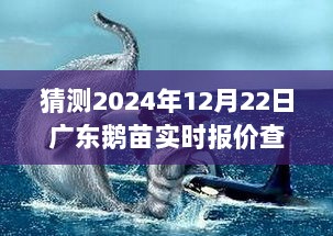 广东鹅苗报价探秘，2024年12月22日实时报价解密与小巷宝店探秘之旅