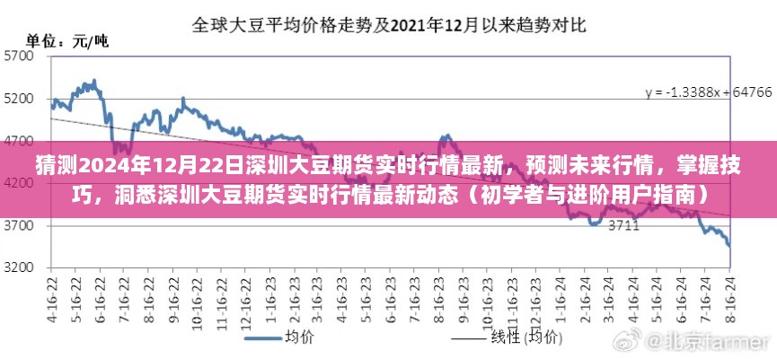 2024年深圳大豆期货实时行情预测与洞悉，初学者与进阶用户指南