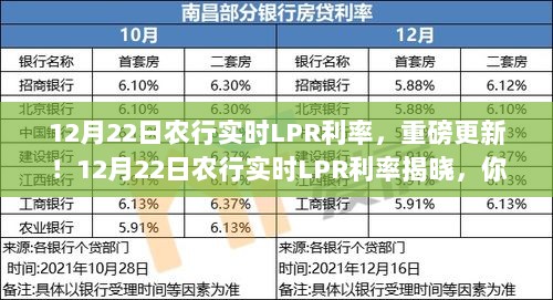 农行实时LPR利率重磅更新，揭秘最新利率揭晓！