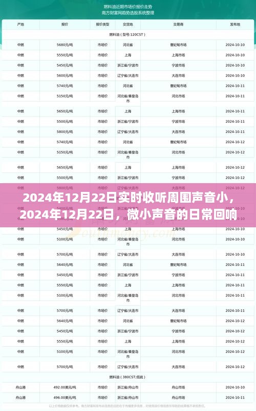 微小声音的日常回响与深远影响，2024年12月22日的声音记录