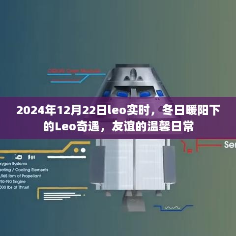 冬日暖阳下的Leo奇遇，友谊的温馨日常（2024年12月22日实时更新）