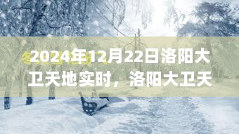 洛阳大卫天地，冬日暖阳下的温馨日常实时播报