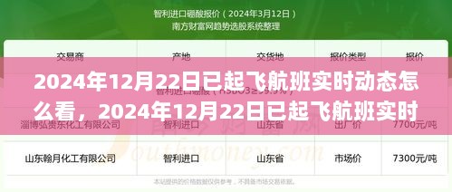 一文解读，如何查看2024年12月22日已起飞航班的实时动态