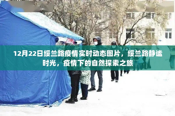 绥兰路疫情实时动态图片，疫情下的自然探索之旅