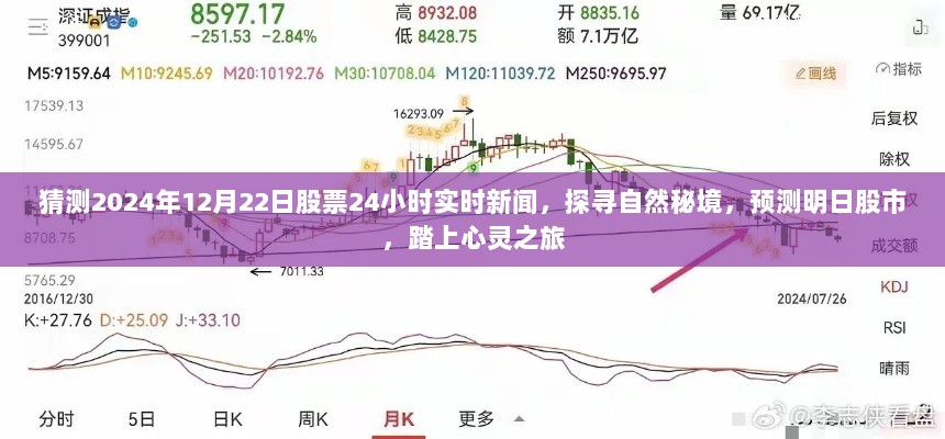 探寻自然秘境，预测明日股市动态，实时新闻与心灵之旅启程于2024年12月22日